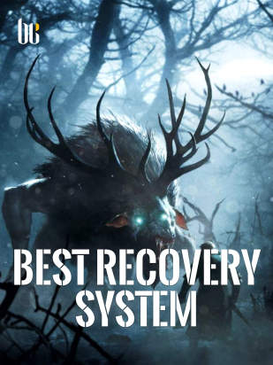 Best Recovery System